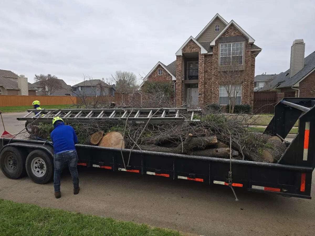 Expert Tree Pest Control with proper safety equipment in Newtonsville